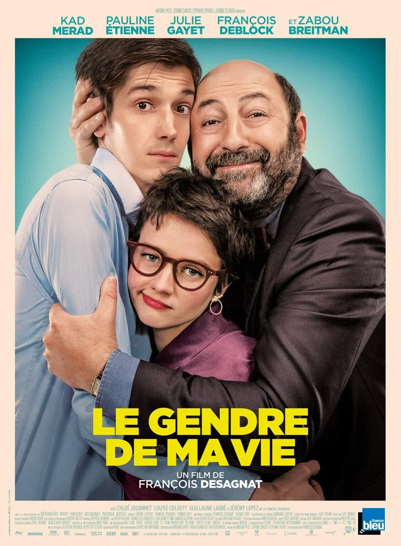 Poster van Le gendre de ma vie