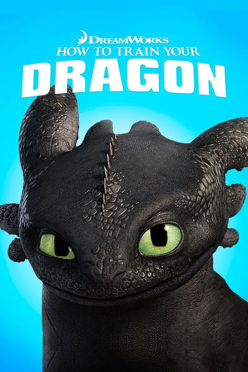 Affiche de How to Train Your Dragon