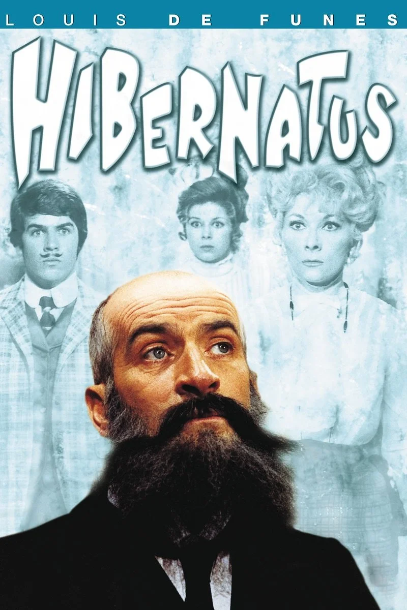 Poster van Hibernatus