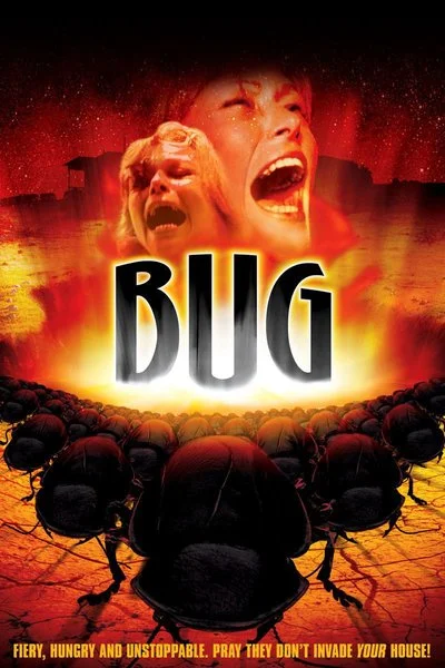Affiche Les insectes de feu