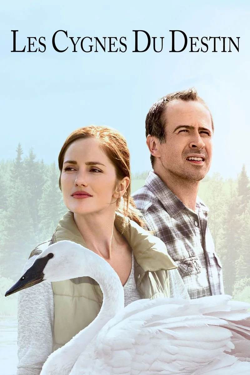 Affiche de Les Cygnes Du Destin