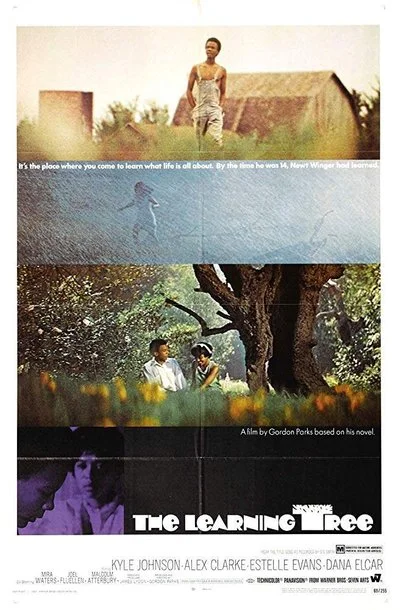 Affiche The Learning Tree