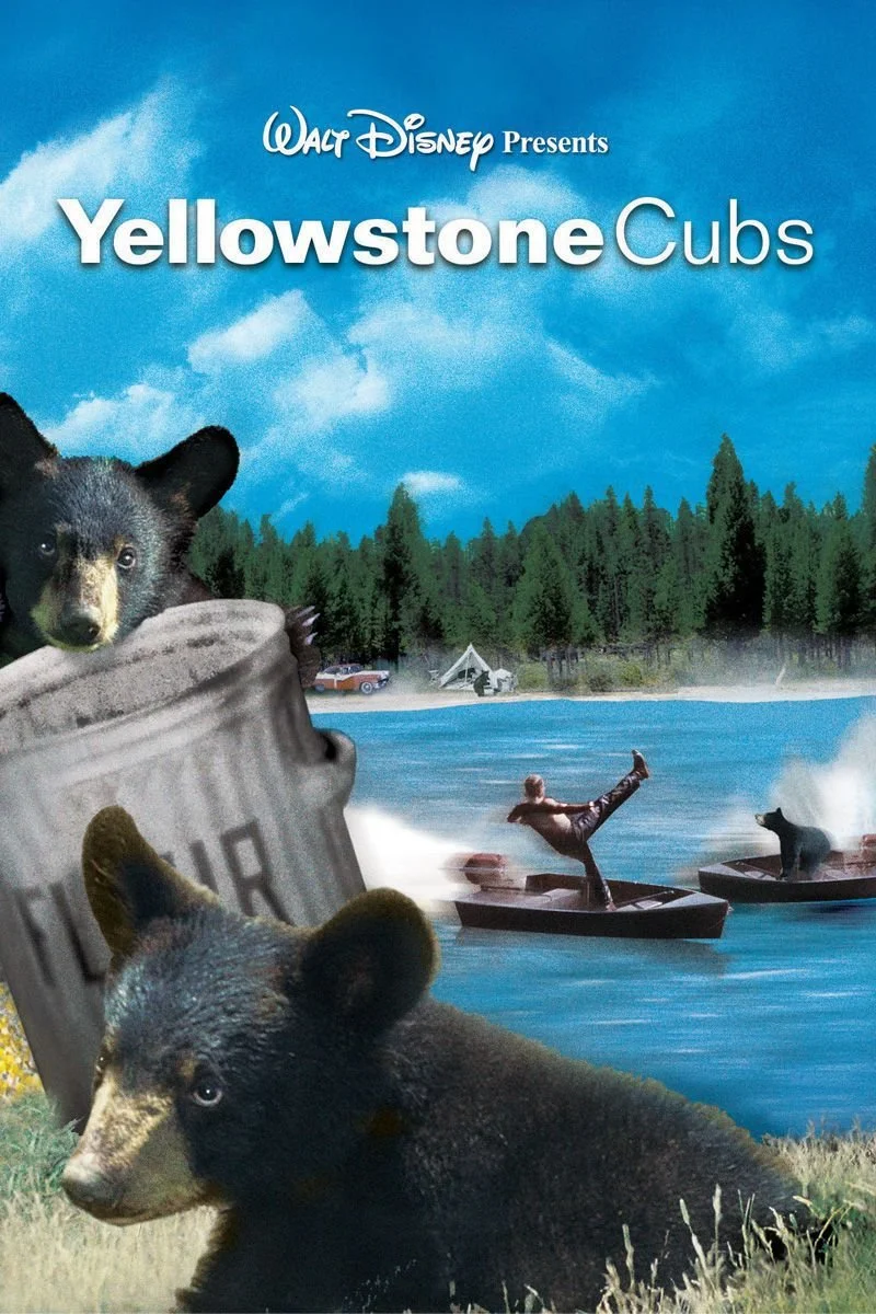 Affiche de Yellowstone Cubs