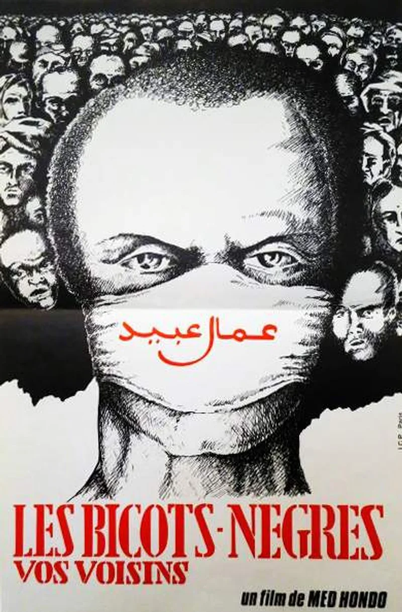 Affiche de Les Bicots-Nègres vos voisins