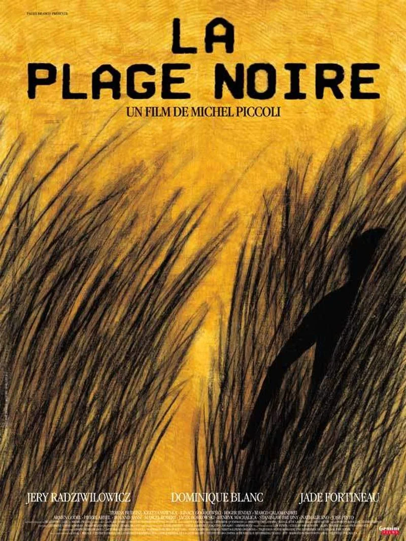 Affiche de La Plage Noire