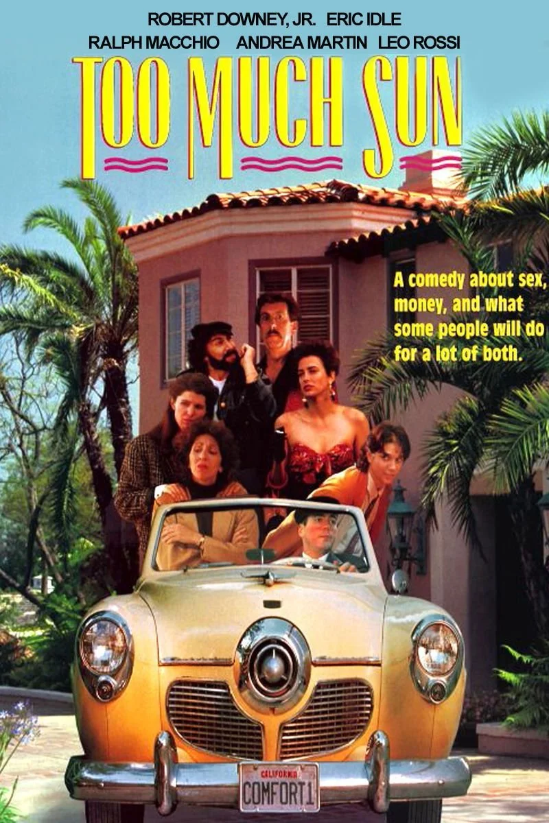 Affiche de Too Much Sun