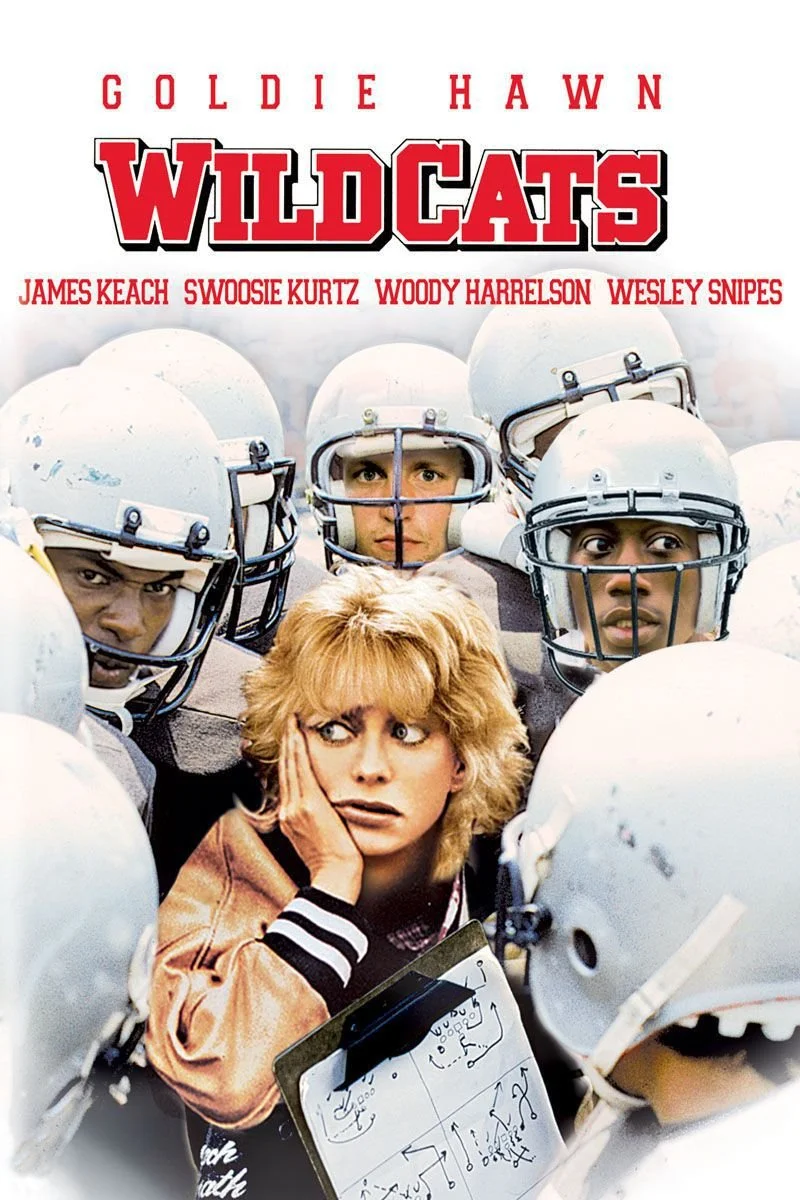 Affiche de Wildcats