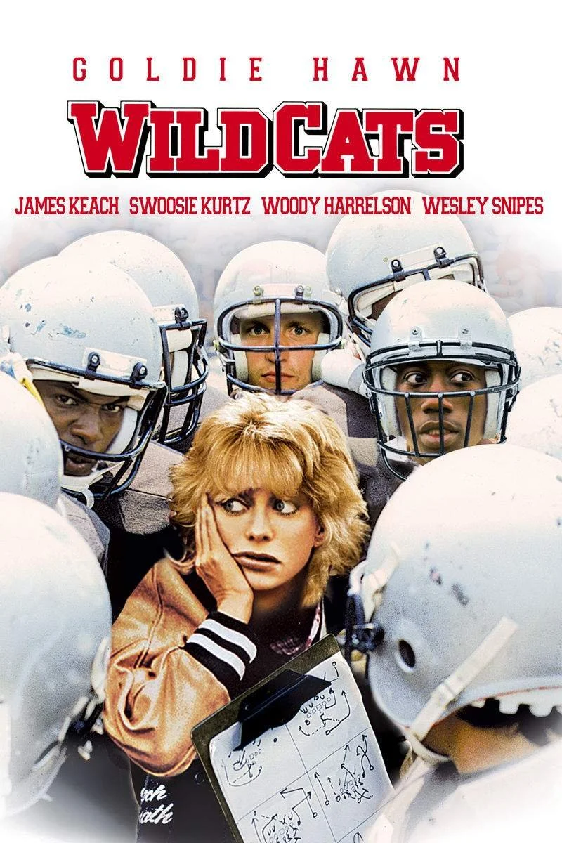Poster van Wildcats