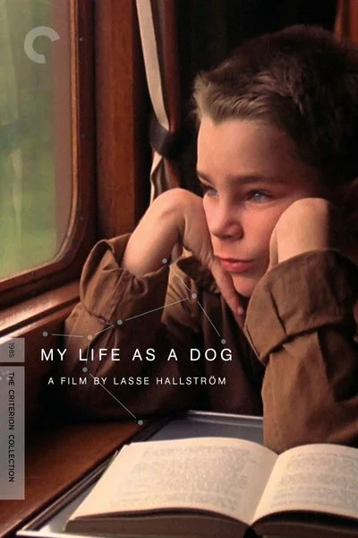 Poster My Life As a Dog