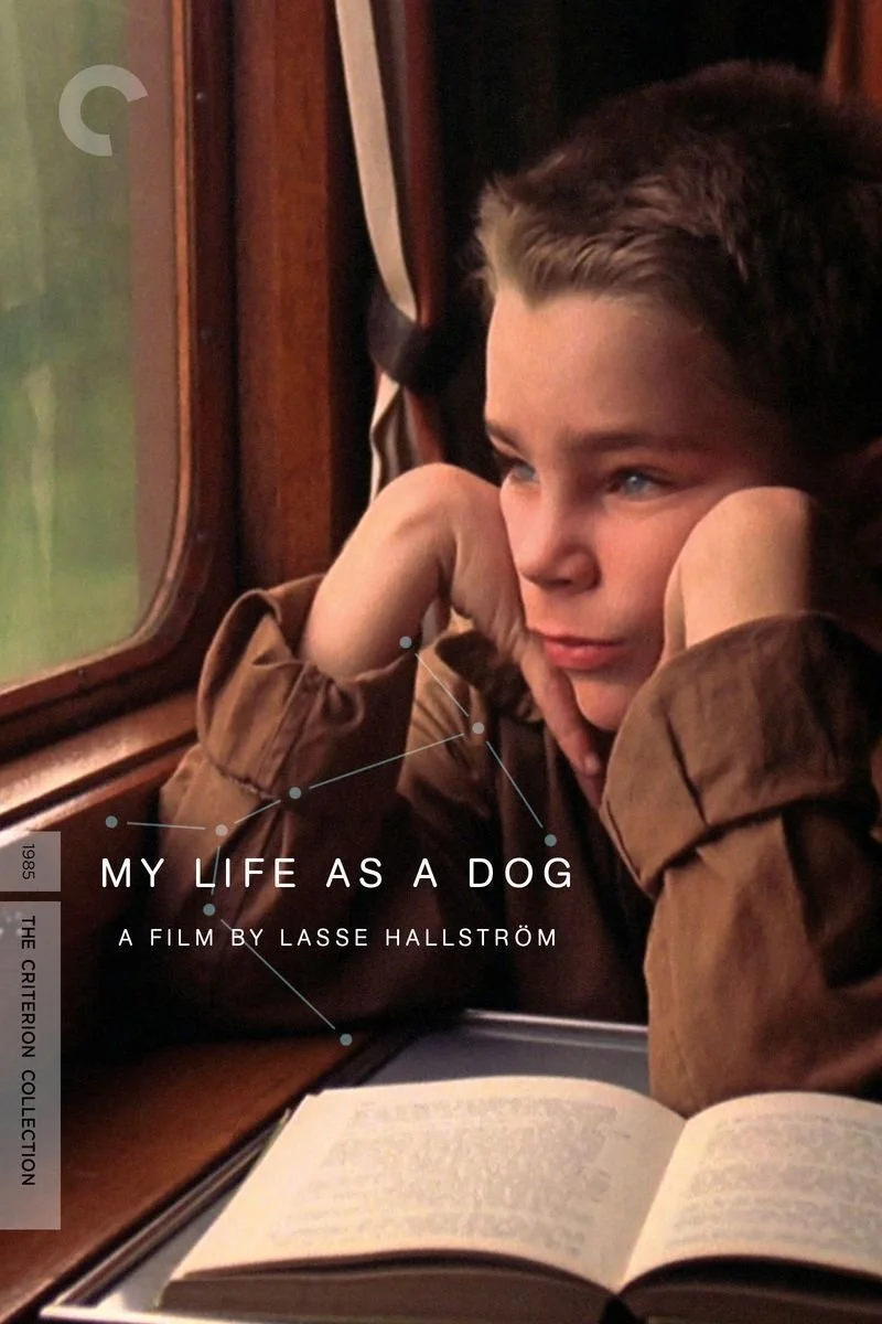 Affiche de My Life As a Dog