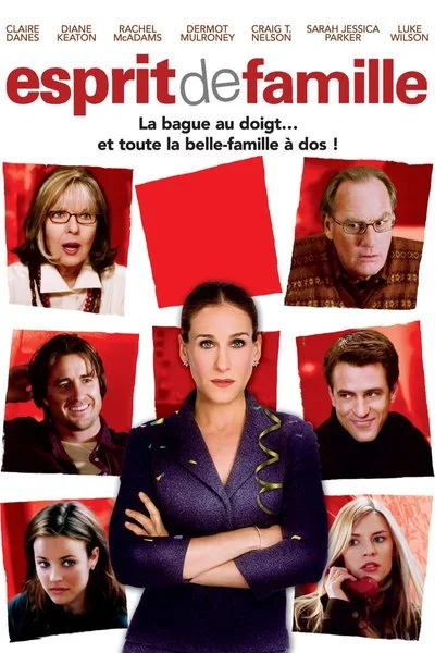 Affiche The Family Stone