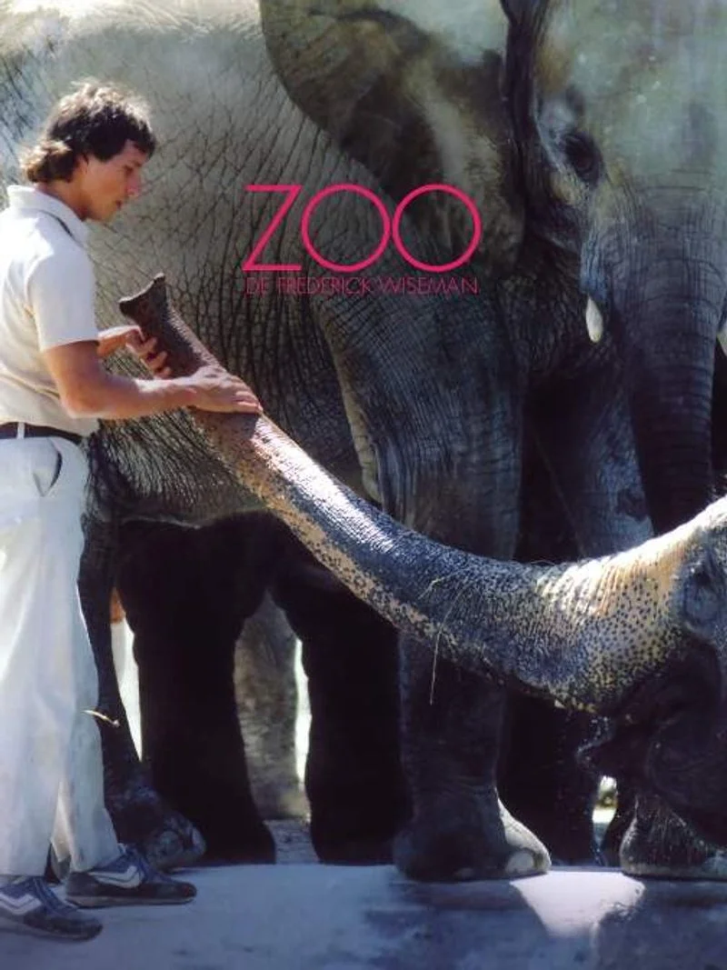 Affiche de Zoo