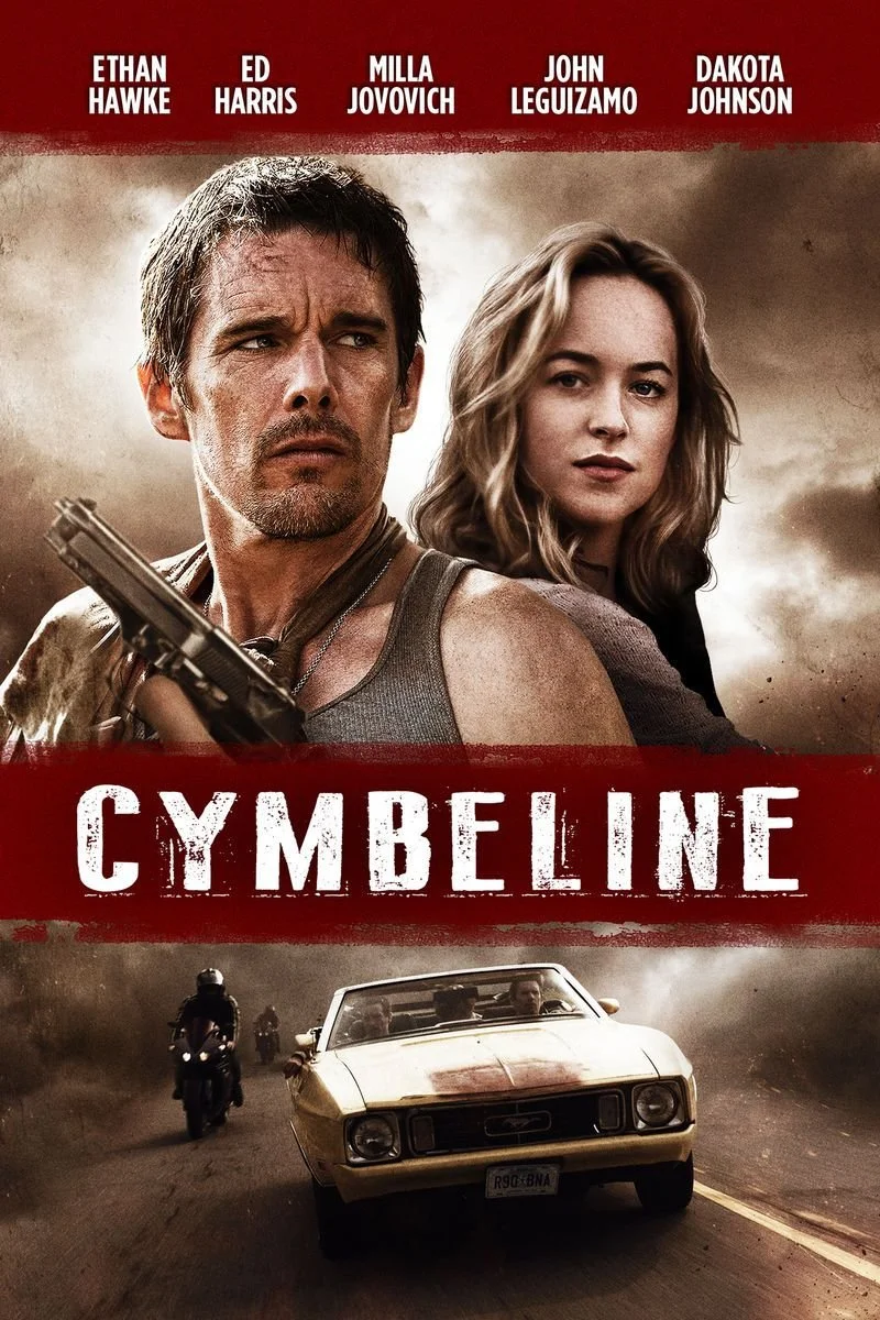 Affiche de Anarchy