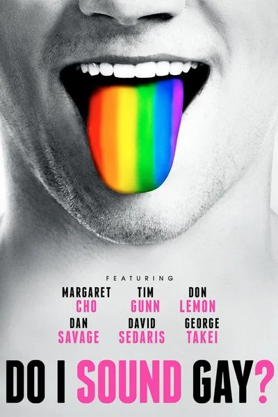 Affiche Do I Sound Gay?