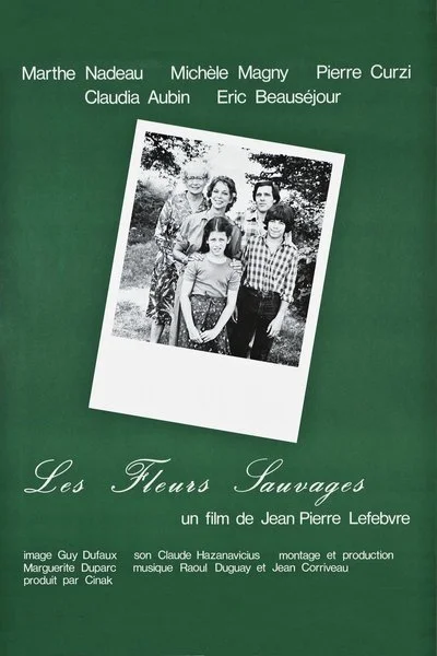 Poster Les fleurs sauvages