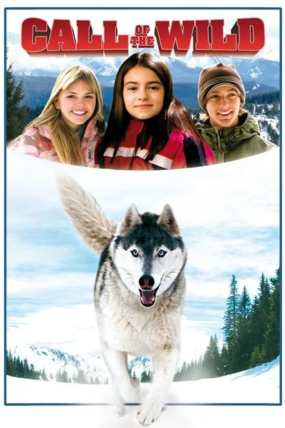 Affiche Call of the Wild