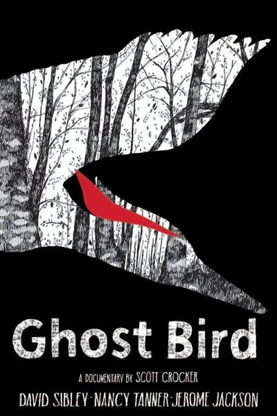 Poster Ghost Bird