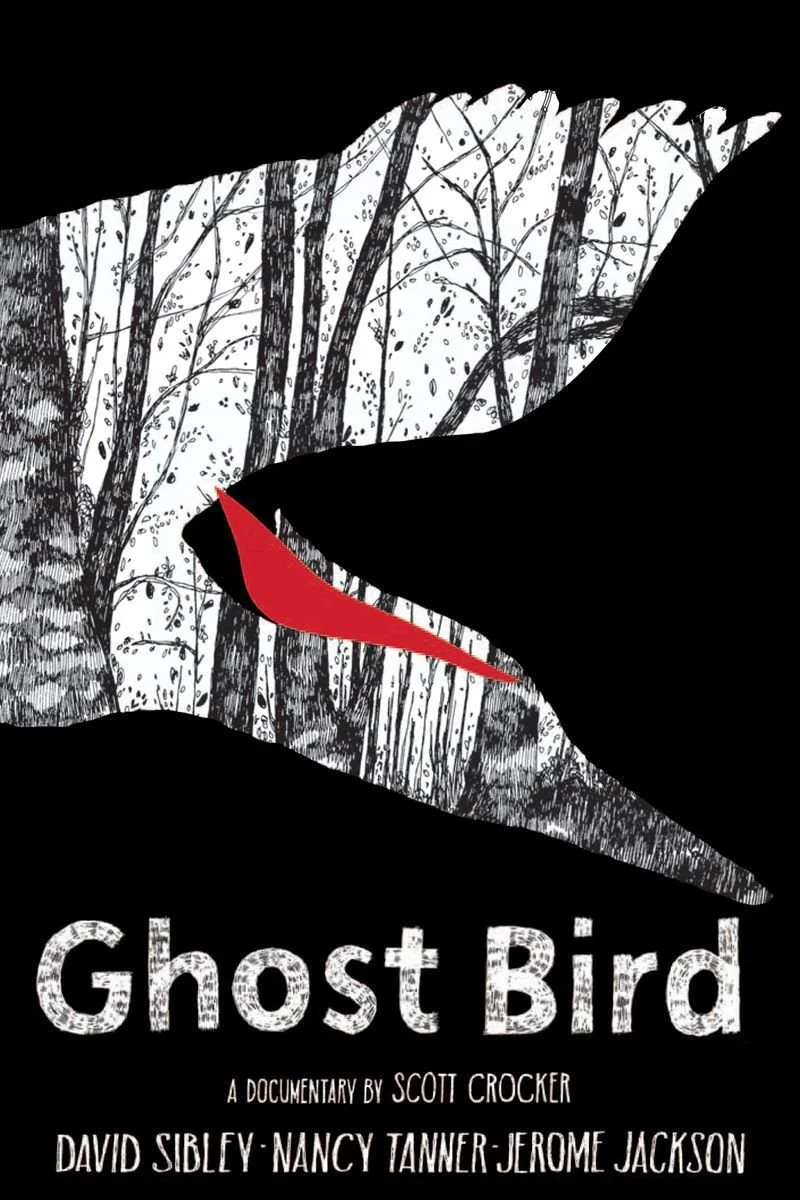 Poster van Ghost Bird