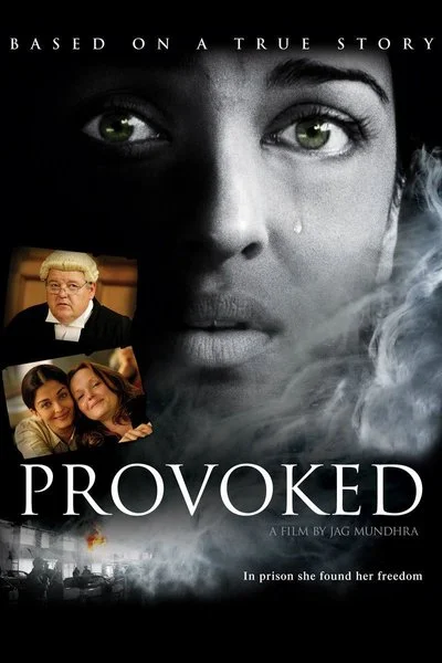 Poster Provoked