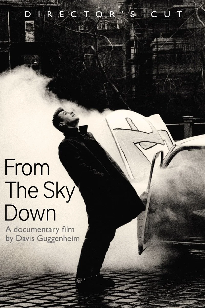 Affiche de From the Sky Down