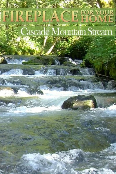 Poster Fireplace for Your Home: Cascade Mountain Stream
