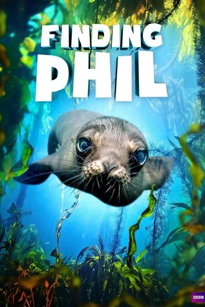Poster Finding Phil