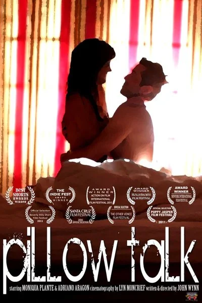 Poster Pillow Talk