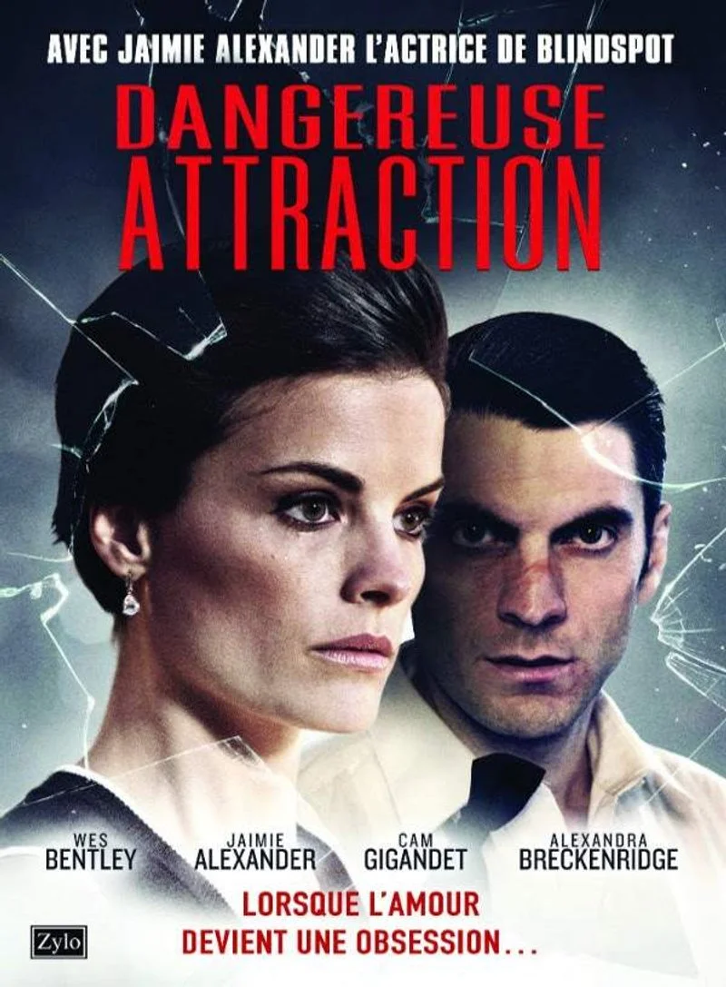 Affiche de Dangereuse Attraction