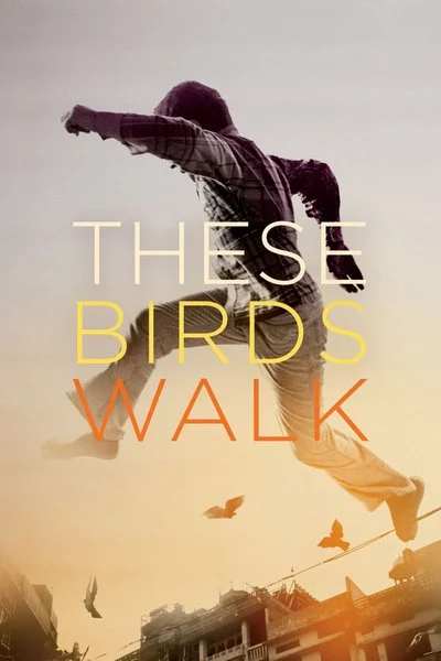 Affiche These Birds Walk