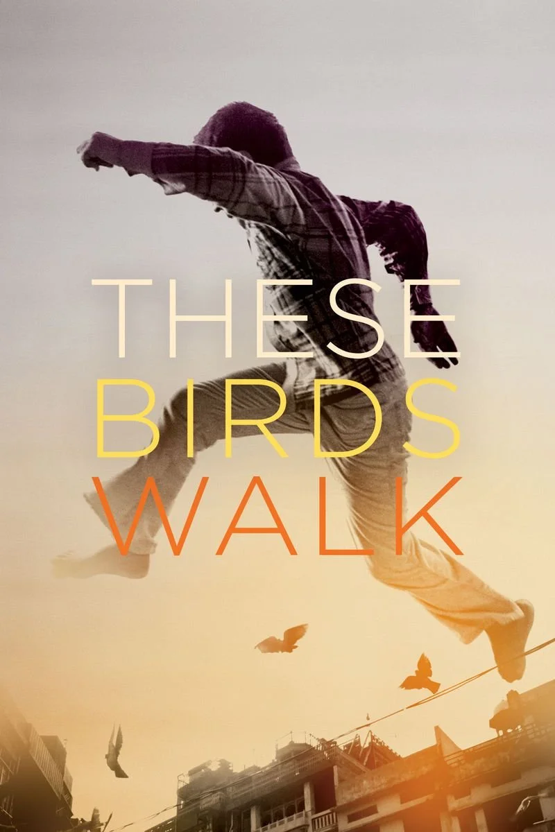 Affiche de These Birds Walk