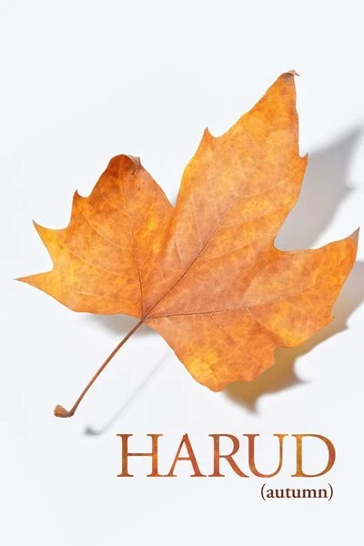 Affiche Harud