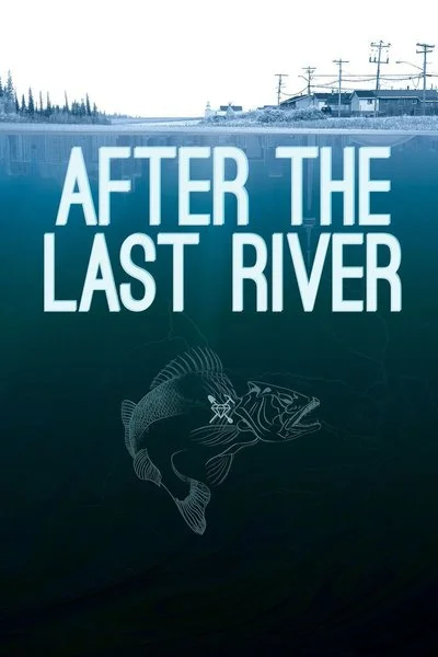 Poster After the Last River