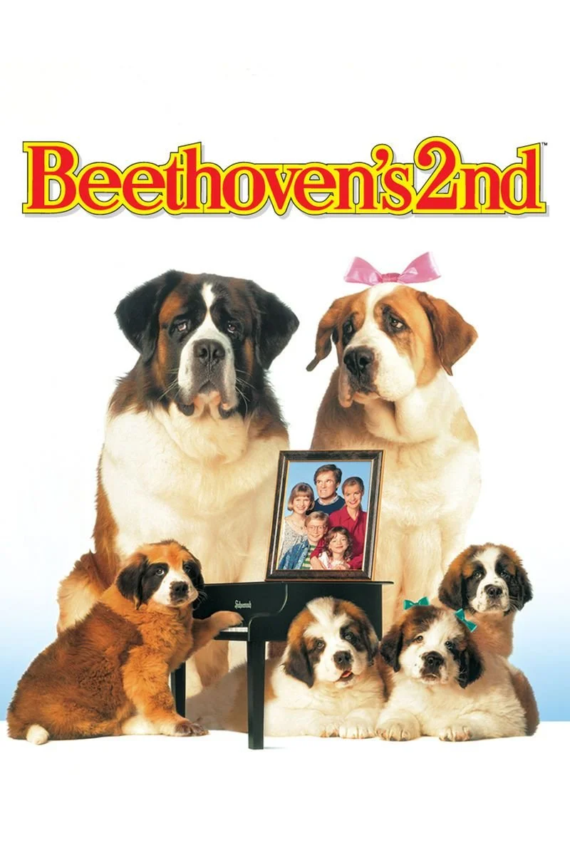 Poster van Beethoven's 2nd
