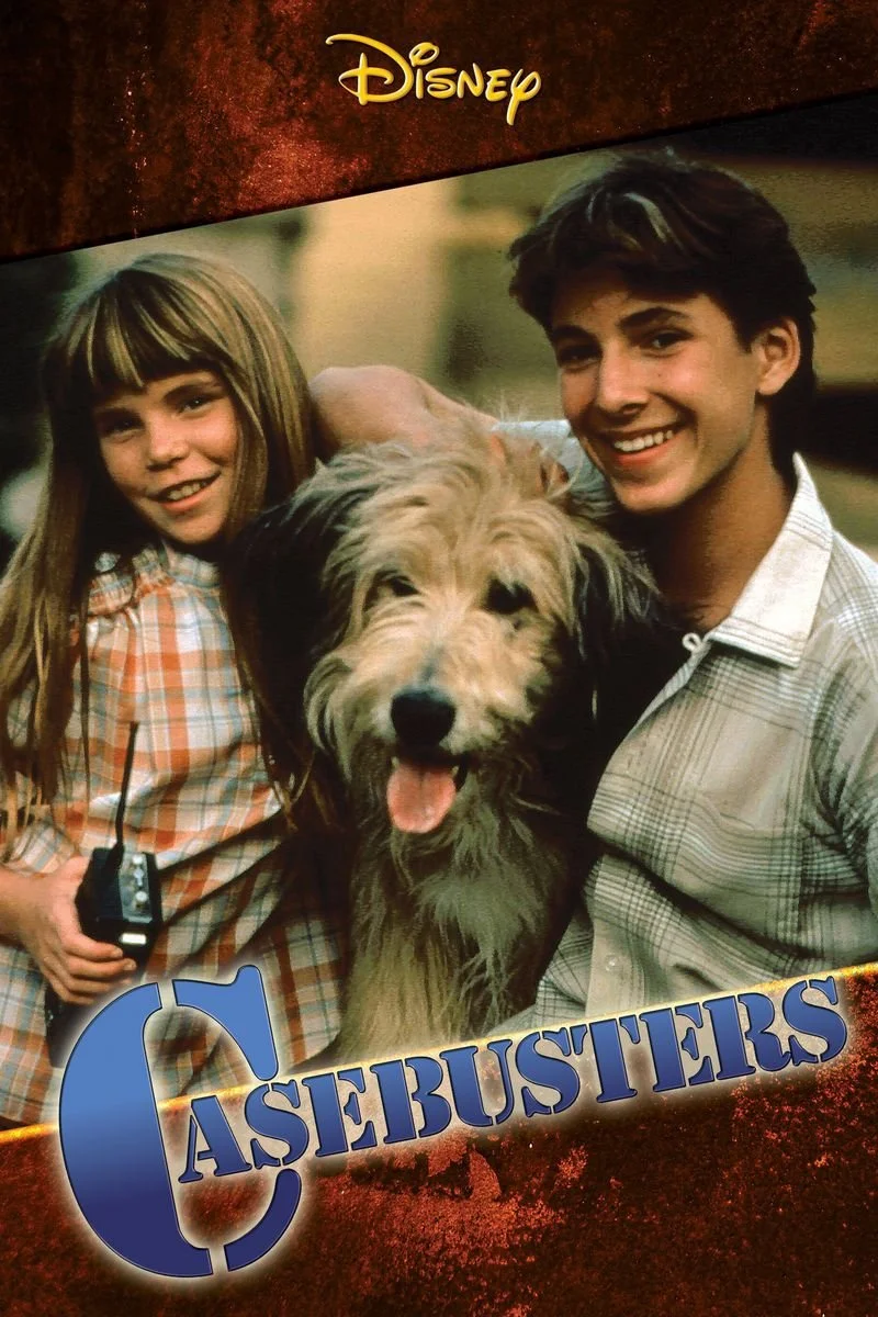 Poster van Casebusters