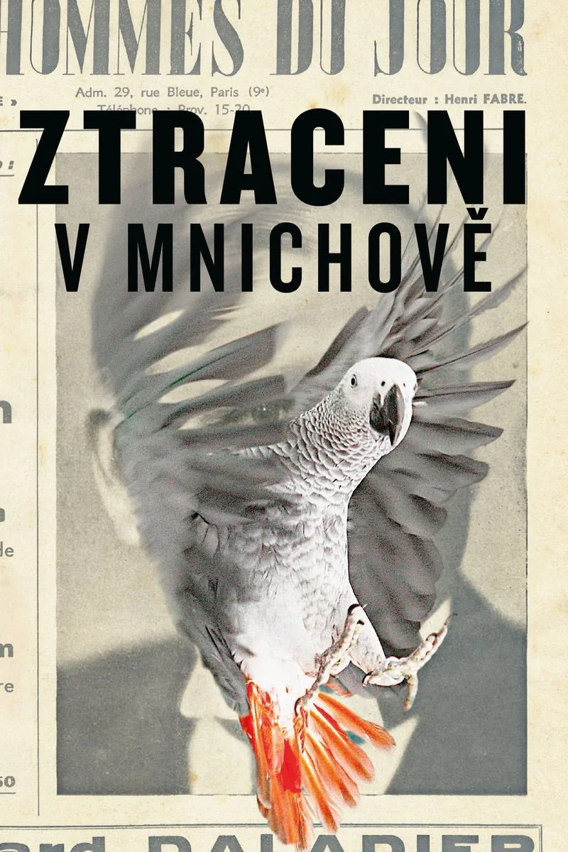 Poster van Ztraceni v Mnichově