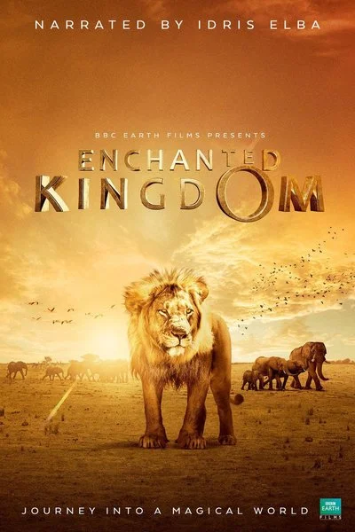 Affiche Enchanted Kingdom