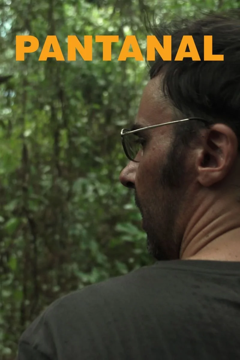 Affiche de Pantanal