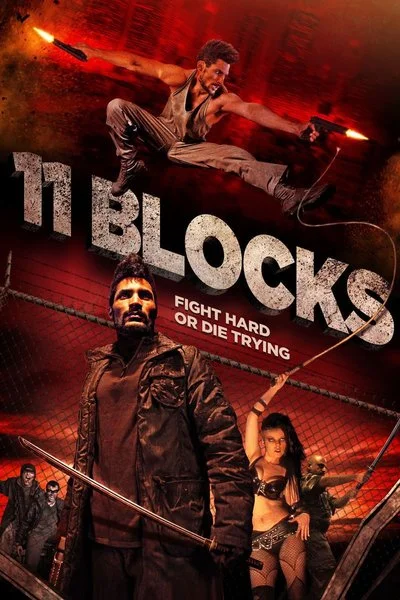 Affiche 11 Blocks