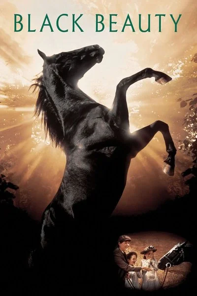 Affiche Le Prince noir