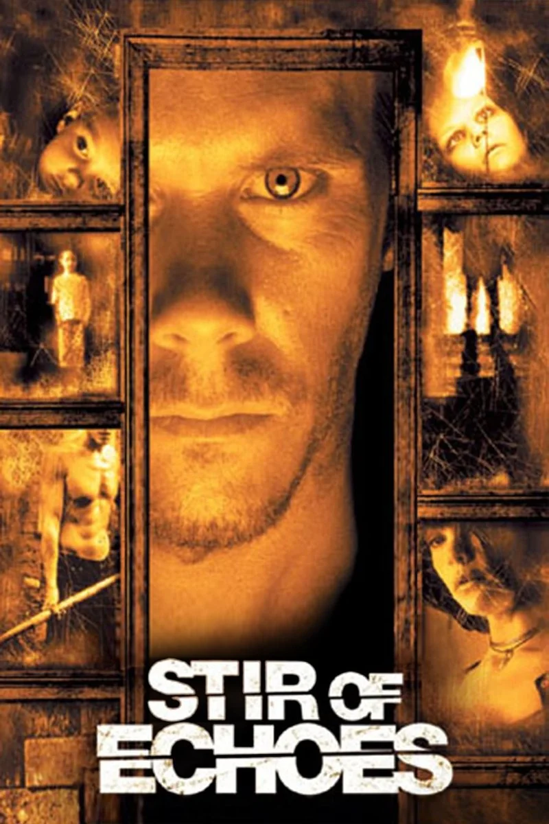 Affiche de Stir of Echoes