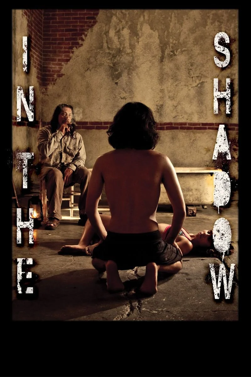 Affiche de In the Shadow