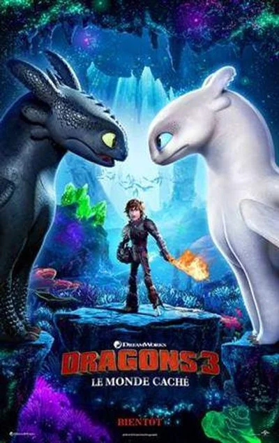 Affiche Dragons 3