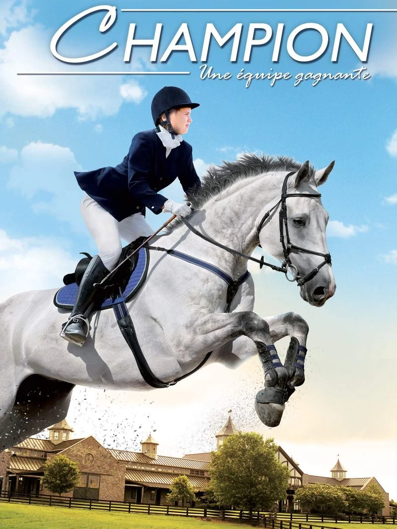 Poster van A Gift Horse