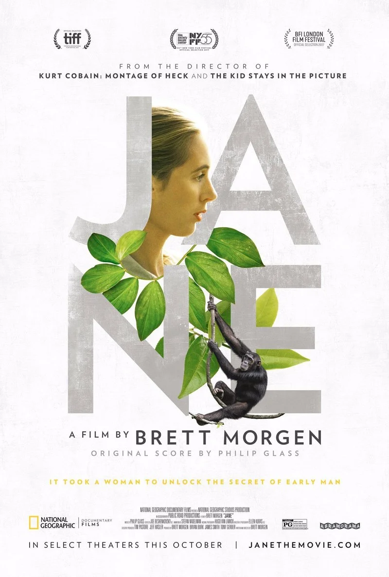 Affiche de Jane