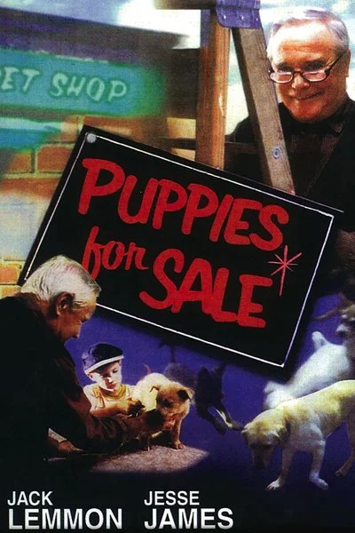 Poster Puppies for Sale