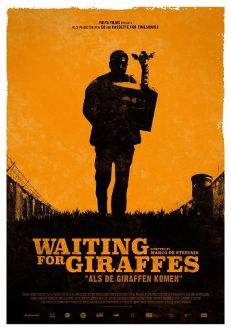 Poster van Waiting for Giraffes