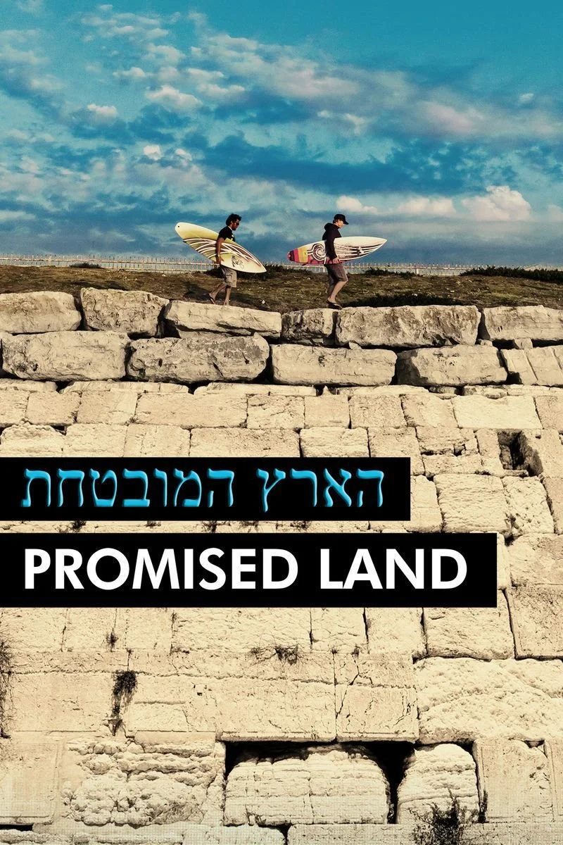 Affiche de Promised Land