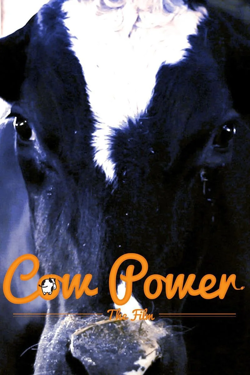 Affiche de Cow Power
