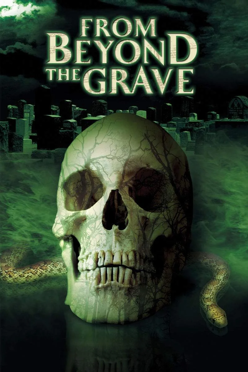Poster van From Beyond the Grave