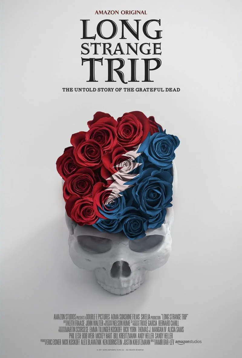 Affiche de Long Strange Trip